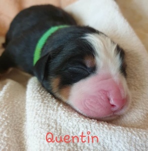 Quentin 26.04....